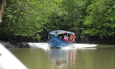 Boat cruising on Kilim Mangrove River waterways.